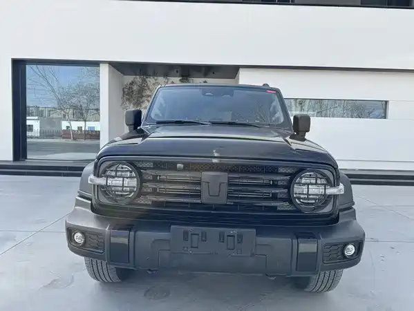 Tank 300 2023