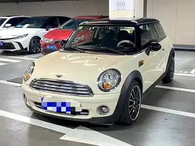 MINI MINI 2010