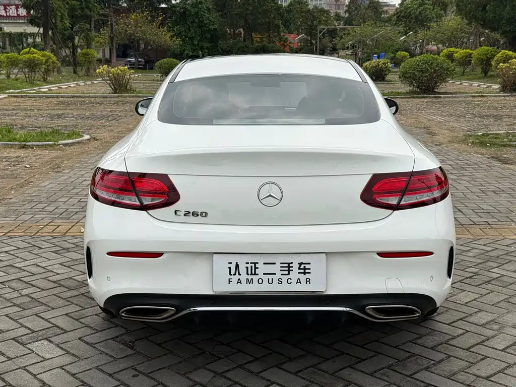 Mercedes-Benz C-Class 2019 — фото 18