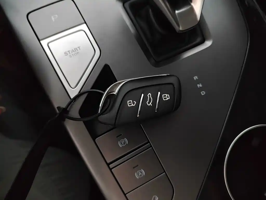 Roewe RX5 New Energy 2025 — фото 9