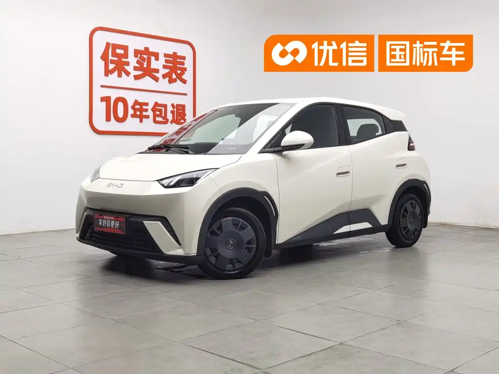 BYD Seagull 2024