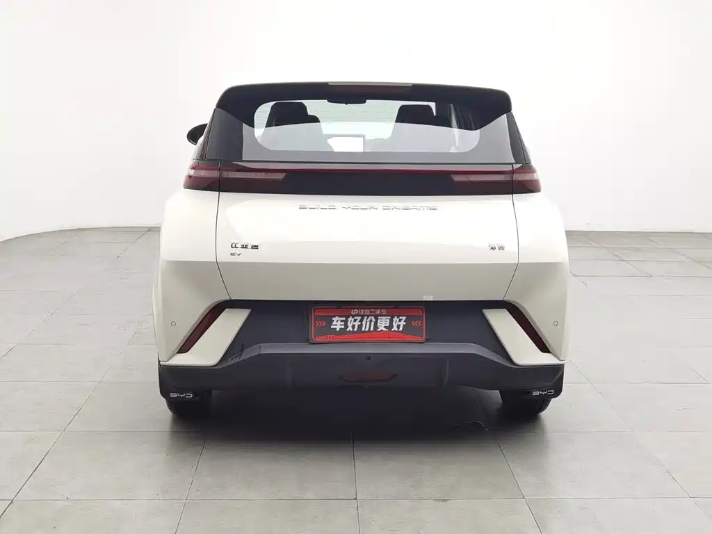 BYD Seagull 2024