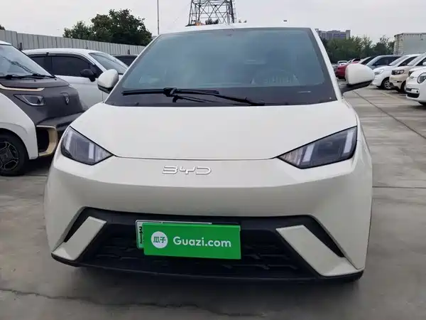 BYD Seagull 2024