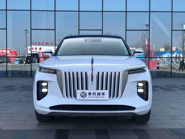 Hongqi E-HS9 2021