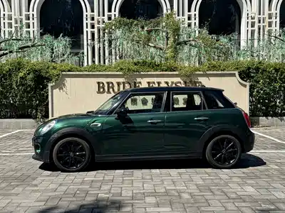 MINI MINI 2017