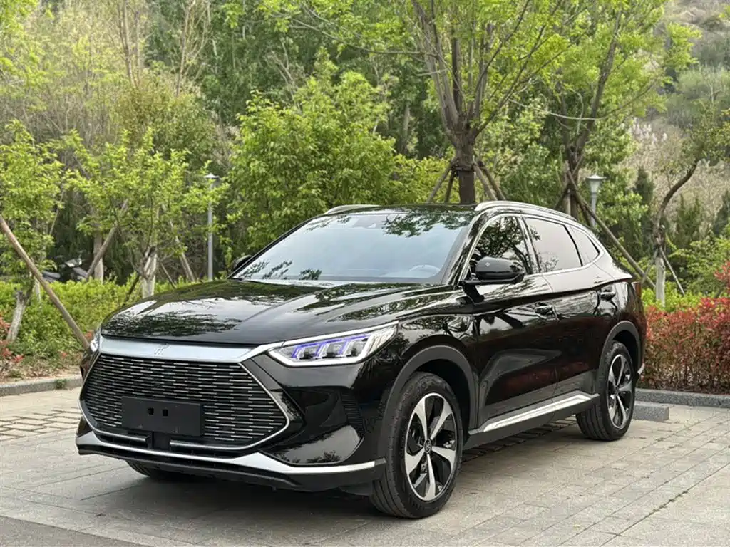 BYD PLUS New Energy 2023 — фото 2