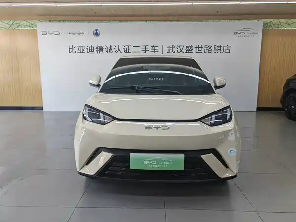 BYD Seagull 2024