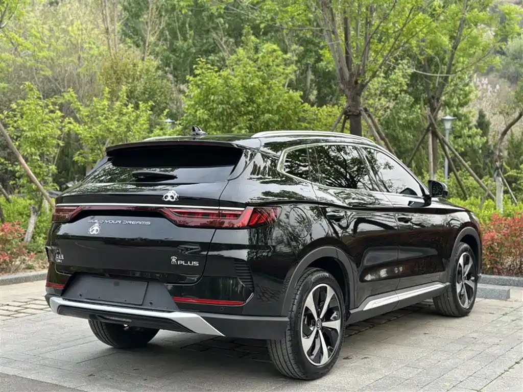 BYD PLUS New Energy 2023 — фото 16