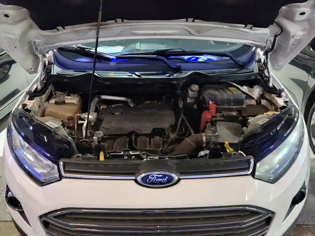 Ford EcoSport 2015 — фото 20