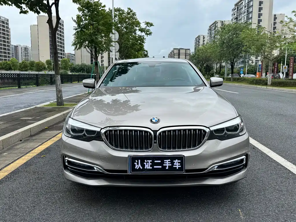 BMW 5 Series 2019