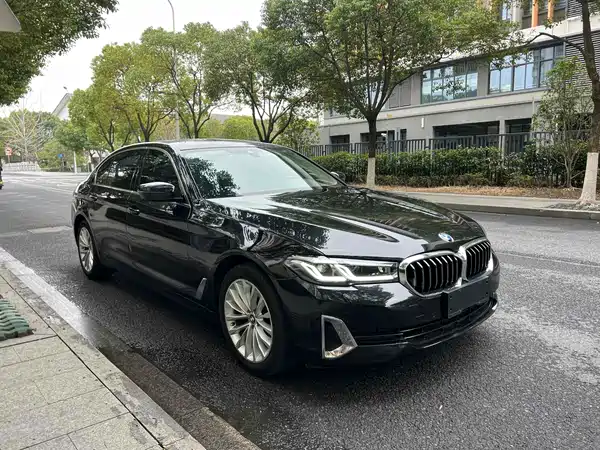 BMW 5 Series 2021