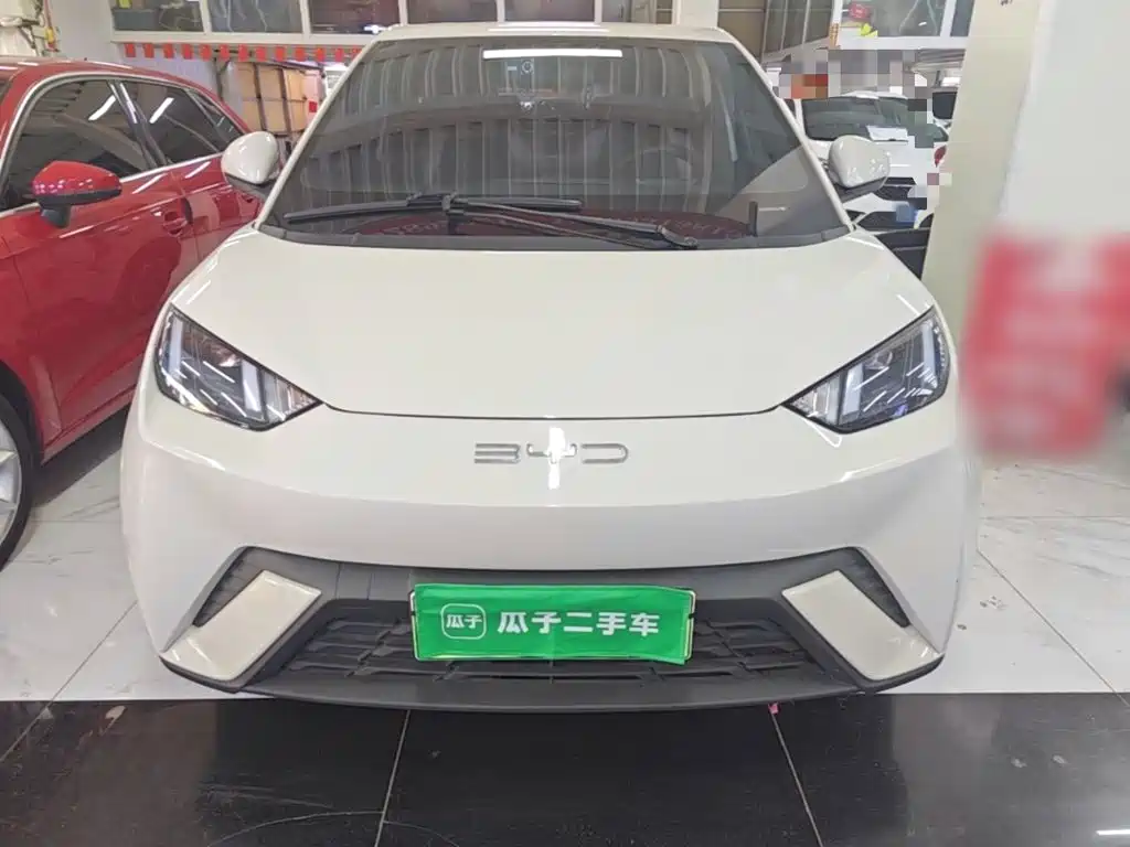 BYD Seagull 2024