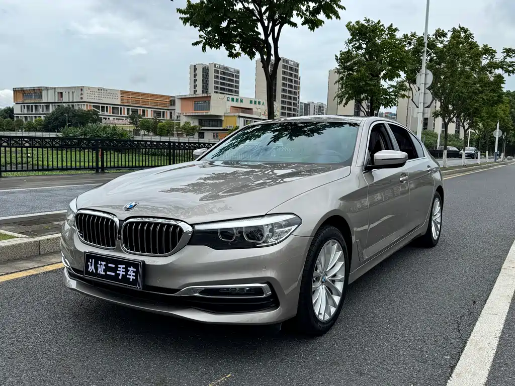 BMW 5 Series 2019