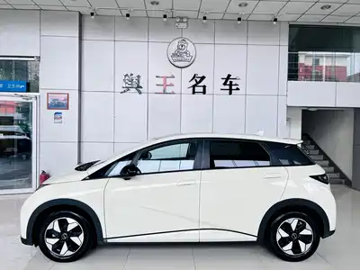 BYD Dolphin 2024