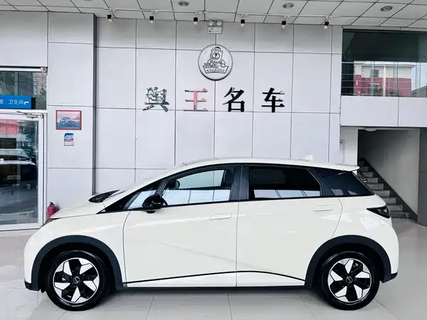BYD Dolphin 2024