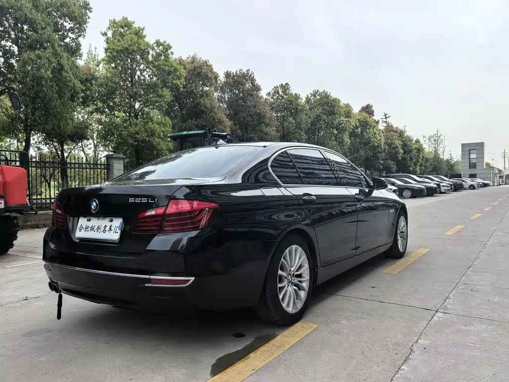 BMW 5 Series 2016 — фото 10