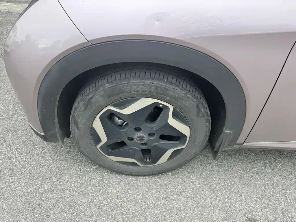 BYD Dolphin 2022