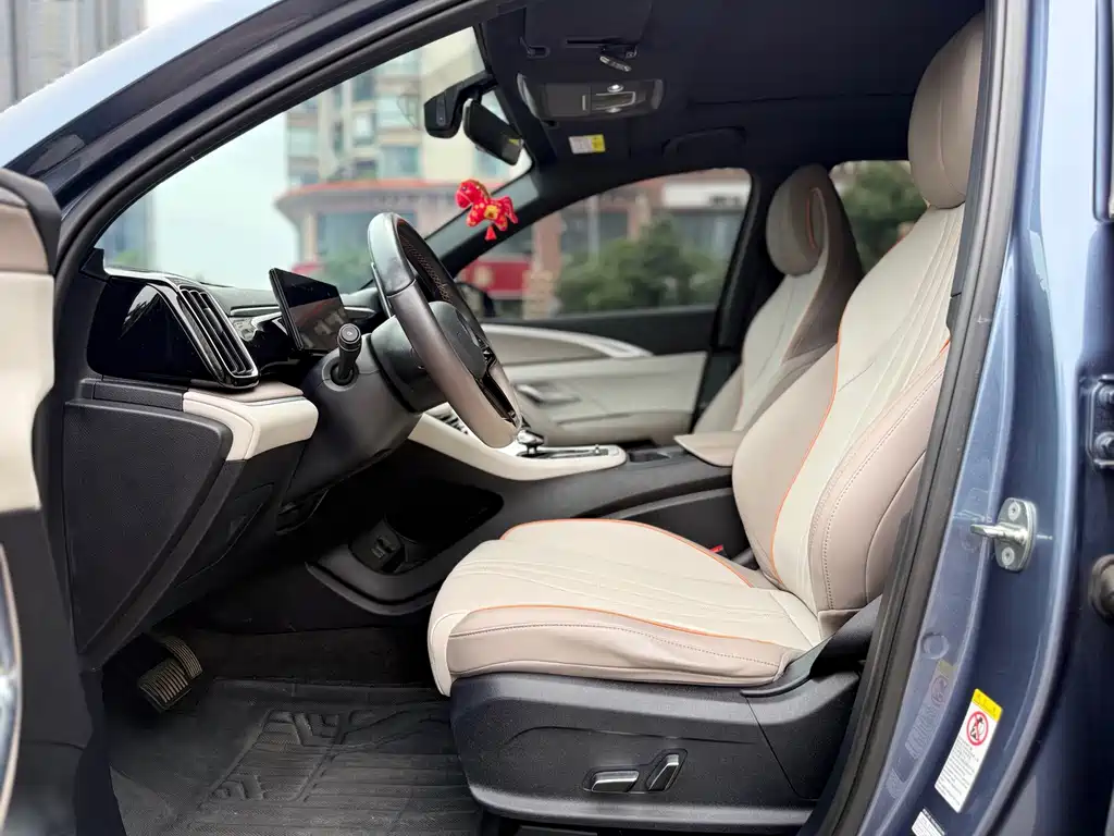 BYD Song Pro New Energy 2024 — фото 12
