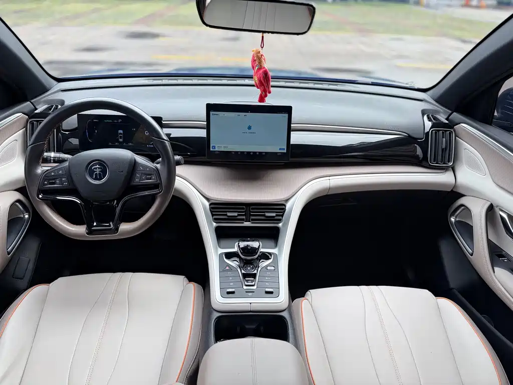 BYD Song Pro New Energy 2024 — фото 15