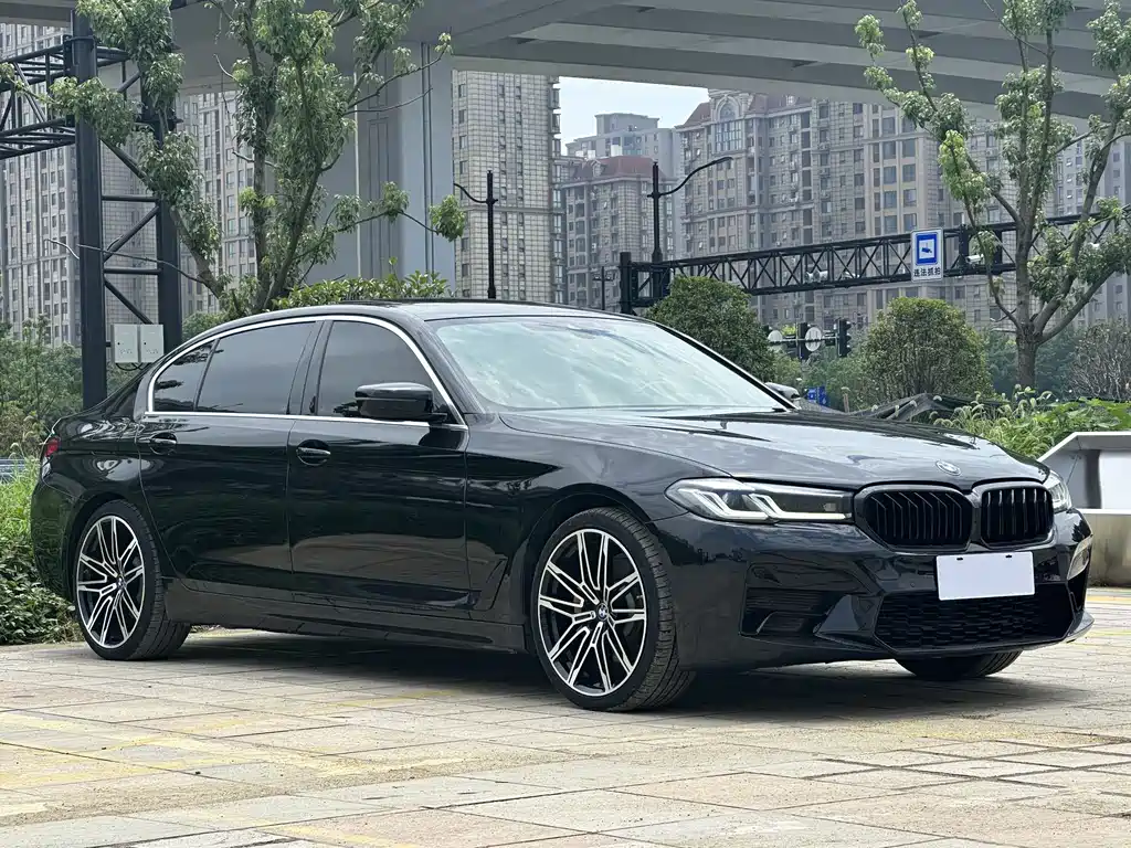 BMW 5 Series New Energy 2020