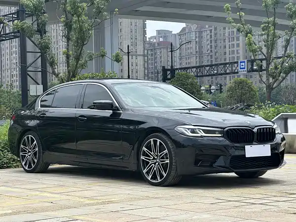 BMW 5 Series New Energy 2020