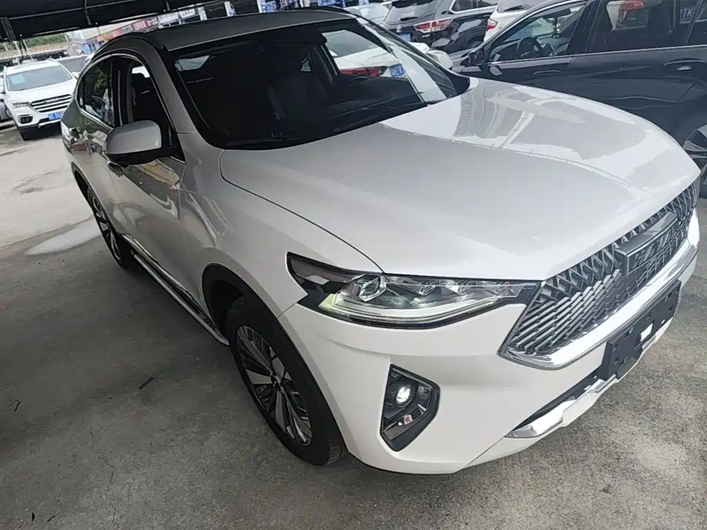 Haval F7x 2021 — фото 4