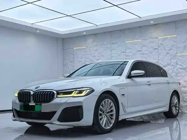 BMW 5 Series New Energy 2022