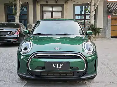 MINI MINI 2021