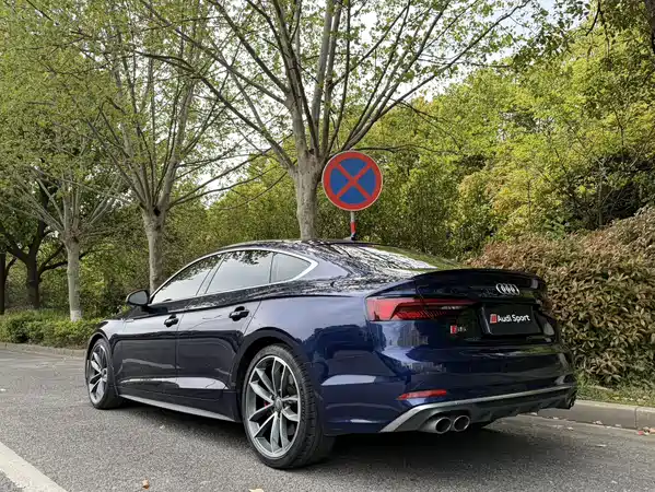 Audi S5 2017