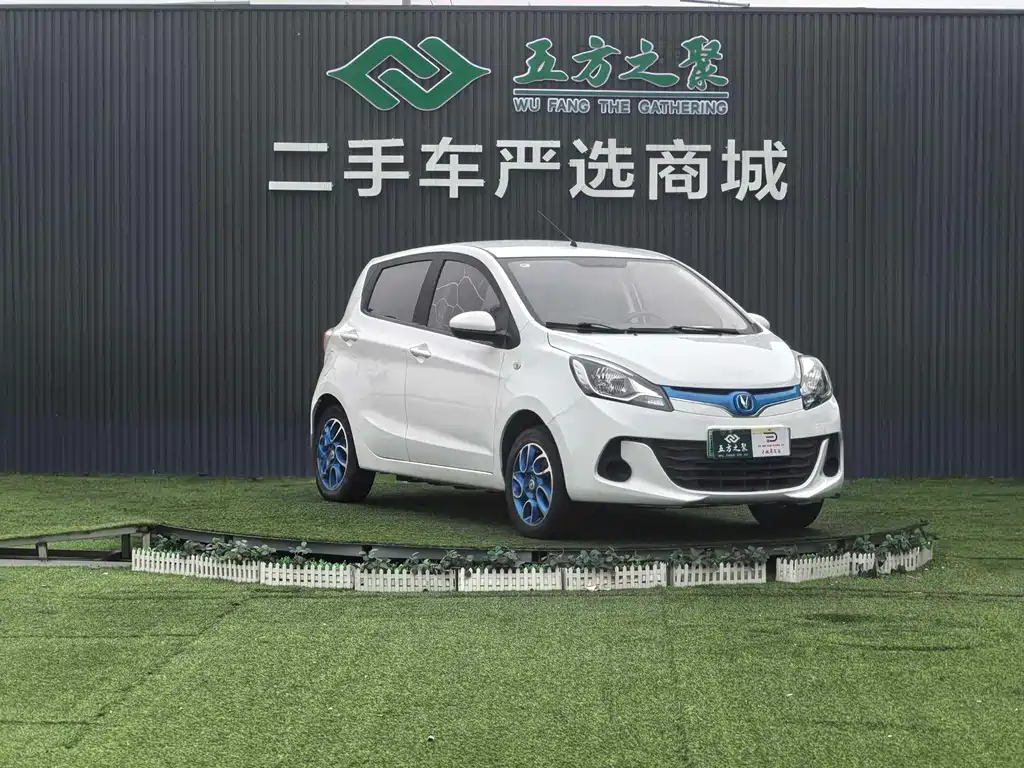 Changan EV 2019 — фото 3
