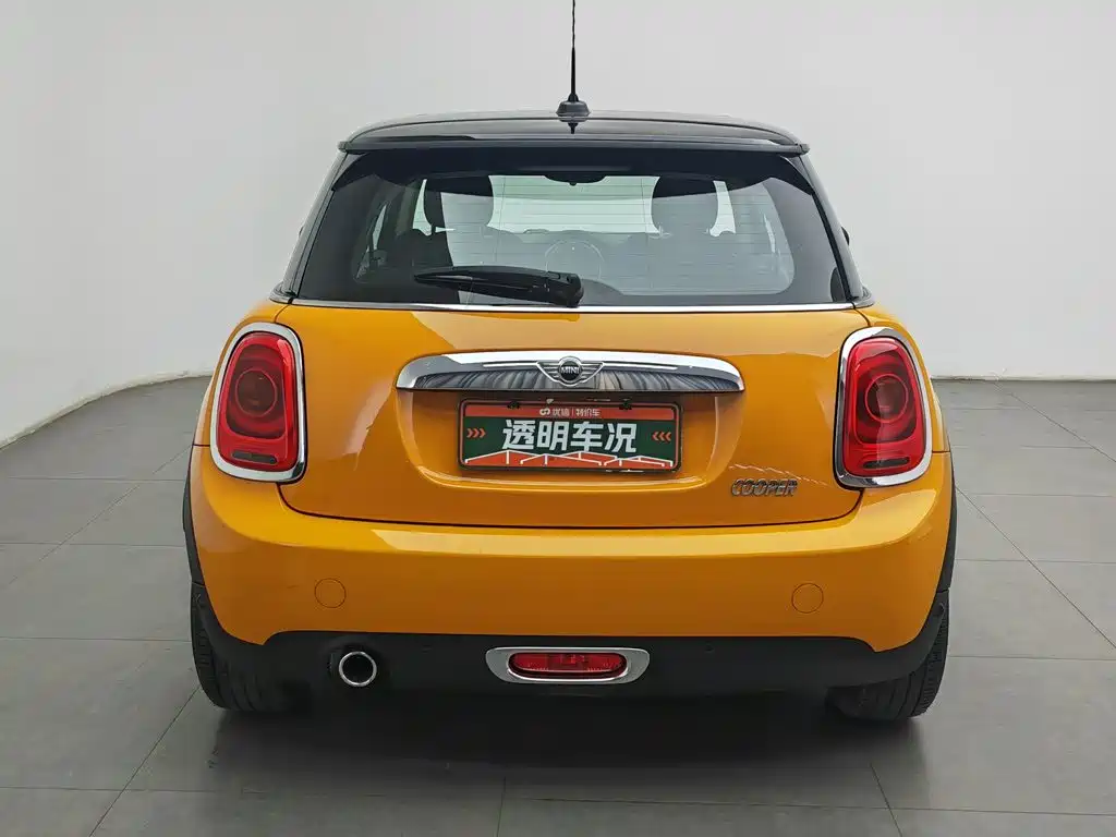 MINI MINI 2018