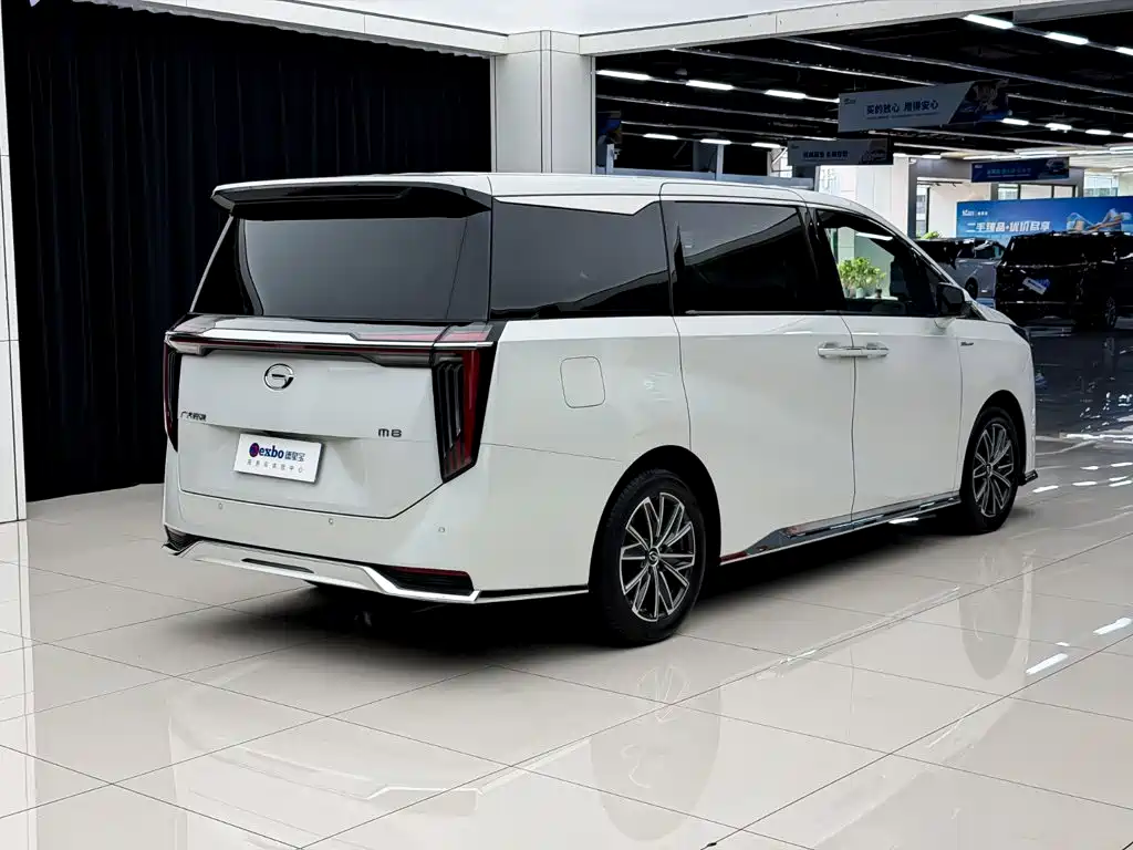 GAC Trumpchi M8 2024 — фото 12