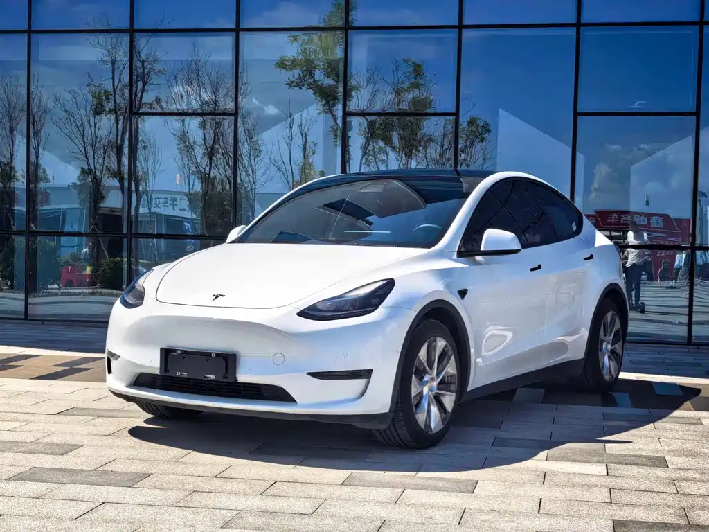 Tesla Model Y 2021 — фото 1