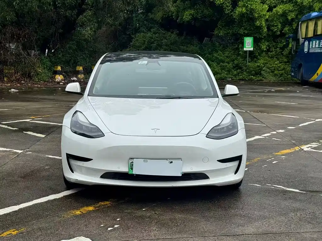 Tesla Model 3 2021 — фото 2