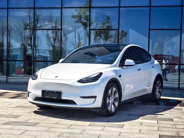 Tesla Model Y 2021