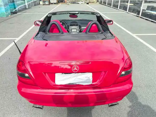 Mercedes-Benz SLK-Class 2010