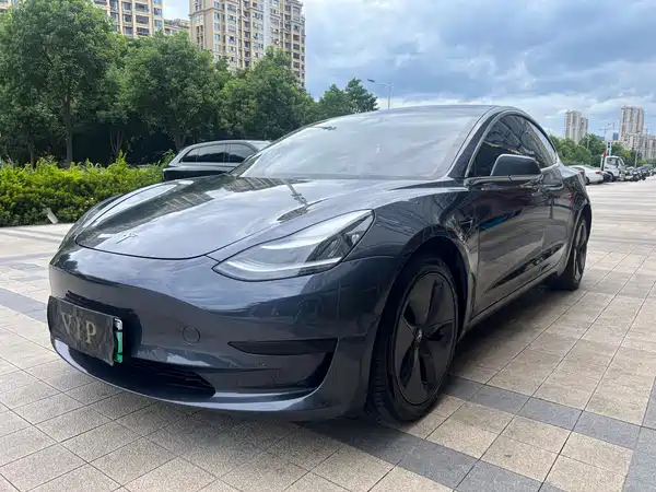 Tesla Model 3 2019