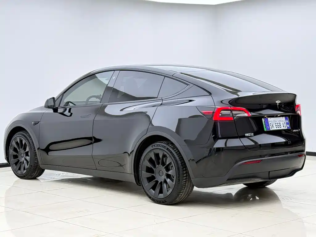 Tesla Model Y 2021 — фото 19