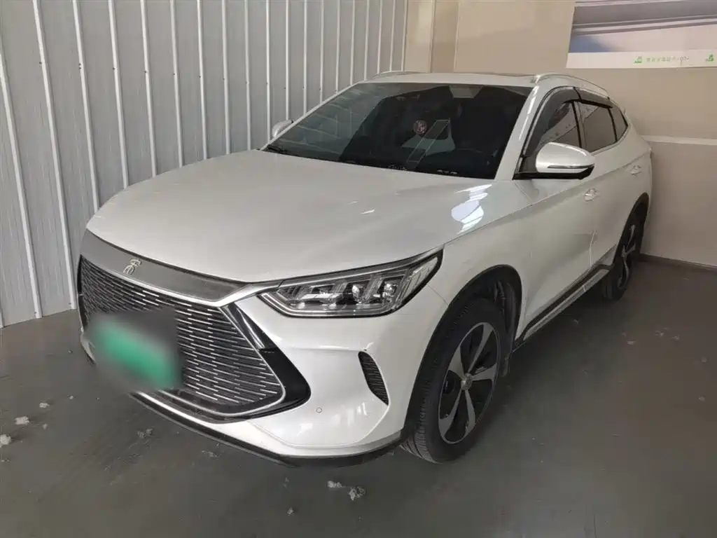 BYD PLUS New Energy 2023 — фото 2