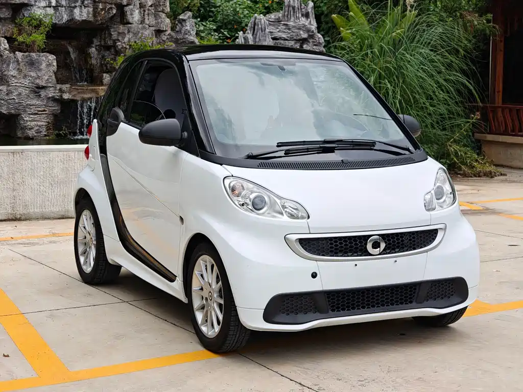 smart fortwo 2013 — фото 3