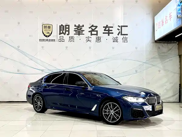 BMW 5 Series New Energy 2022