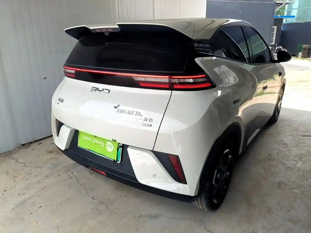BYD Seagull 2025