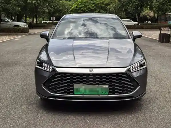 BYD Qin PLUS 2024