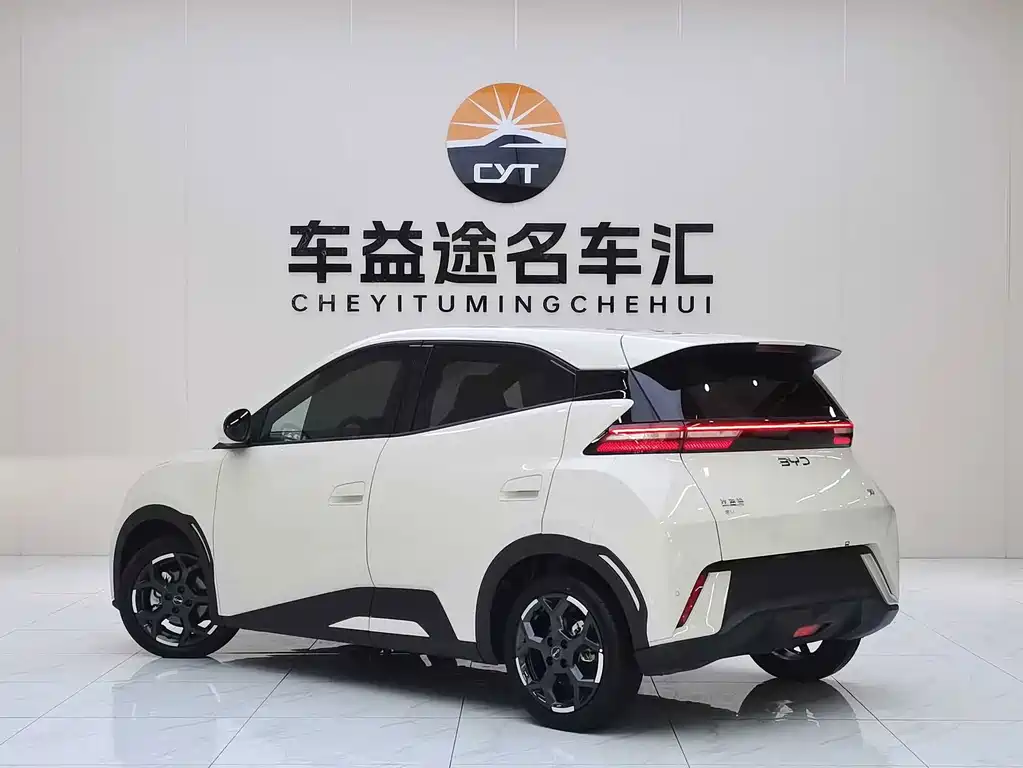 BYD Seagull 2024