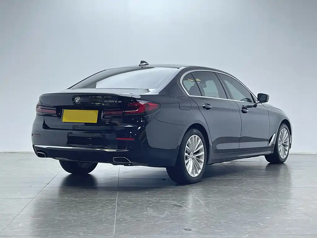 BMW 5 Series New Energy 2021
