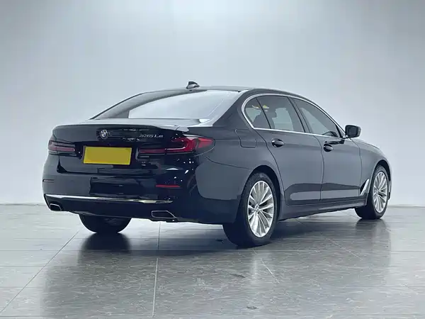 BMW 5 Series New Energy 2021