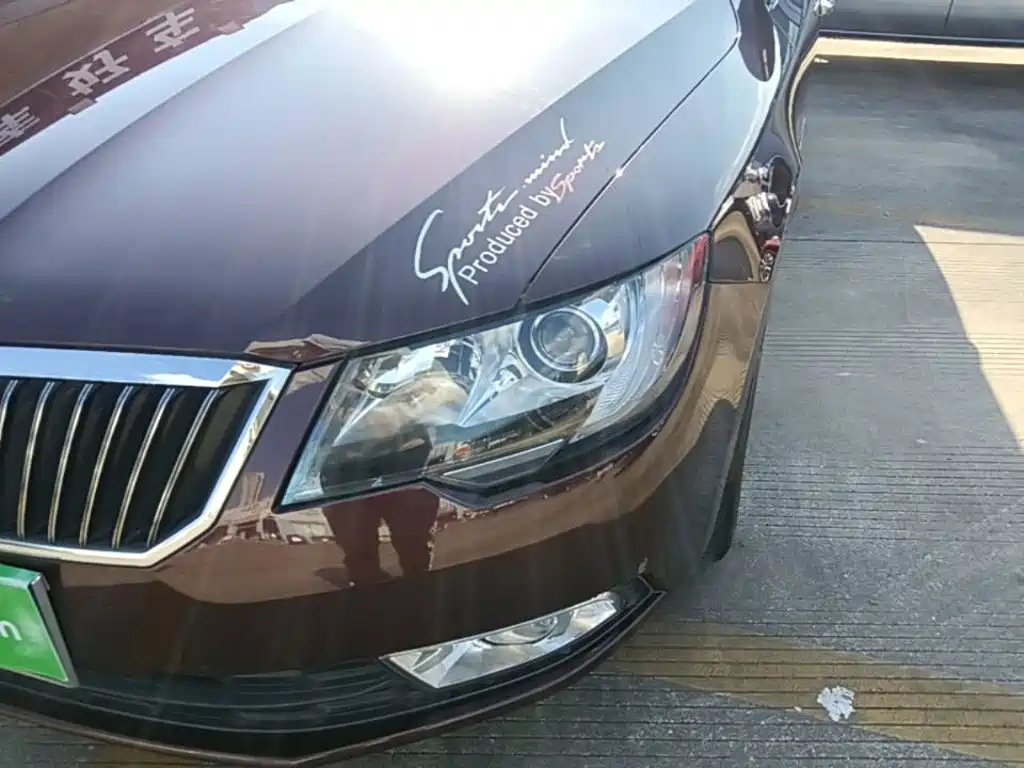 Skoda Speedy 2014 — фото 24