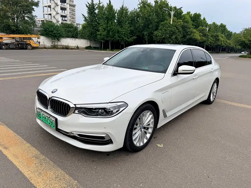 BMW 5 Series New Energy 2020