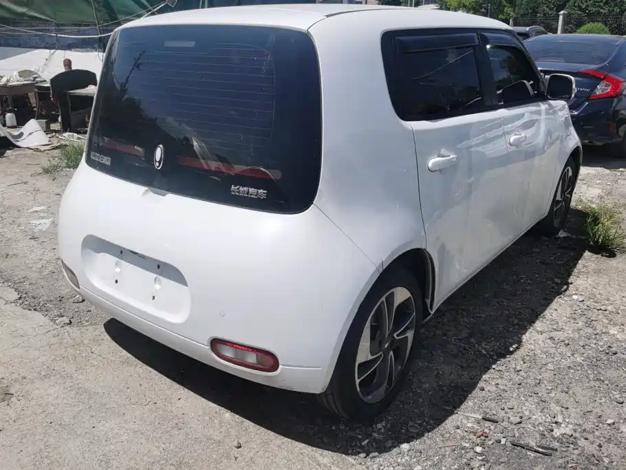 Ora White Cat 2021
