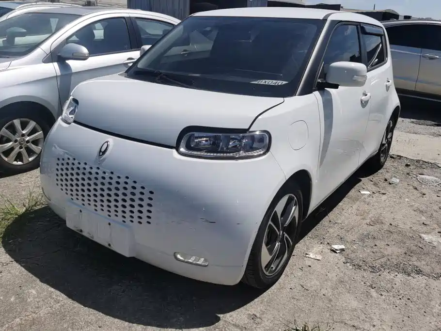 Ora White Cat 2021